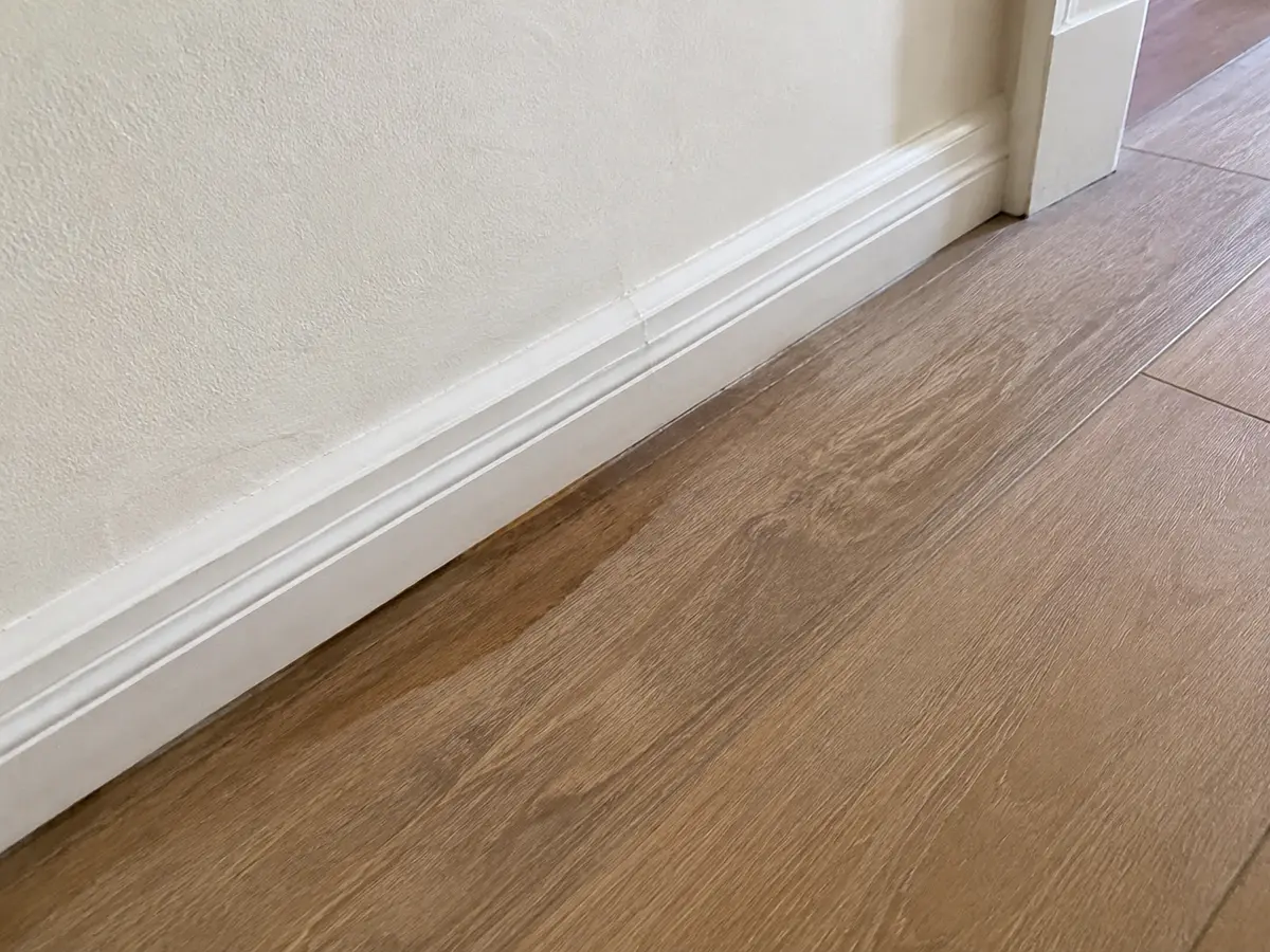 Damp area visible along residential flooring